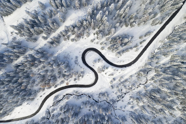 the black snake that leads to the Tre Cime of Lavaredo, surrounded by trees and snow-covered meadows, Unesco World Heritage Site, Belluno province, Veneto district, Italy, Europe