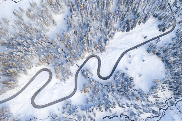 the black snake that leads to Giau Pass, surrounded by trees and snow-covered meadows, Unesco World Heritage Site, Belluno province, Veneto district, Italy, Europe