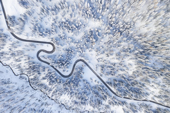 the black snake that leads to Giau Pass, surrounded by trees and snow-covered meadows, Unesco World Heritage Site, Belluno province, Veneto district, Italy, Europe