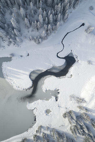 a vertical abstract view taken by drone of Misurina lake, Dolomiti, municipality of Auronzo di Cadore, Belluno province, Veneto district, Italy, Europe.