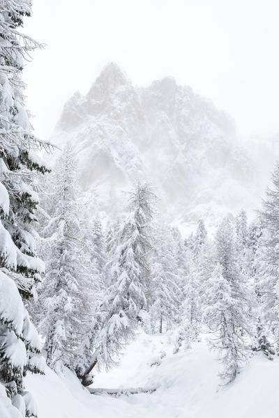 the towers of the falzarego emerge from the clouds during a heavy snowfall, Dolomiti, municipality of Cortina d'Ampezzo, Belluno province, Veneto district, Italy, Europe.