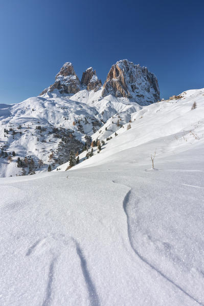 the Sasslongo group in winter time taken from Sella Pass, Dolomites, Fassa Valley, unicipality of Canazei, Trento province, Trentino Alto Adige district, Italy, Europe. 