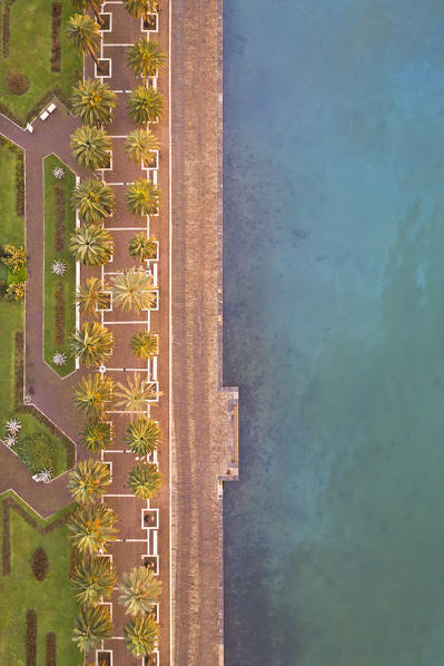 aerial vertical view of Molo Italia at sunrise, municipality of La Spezia, La Spezia province, Liguria district, Italy, Europe