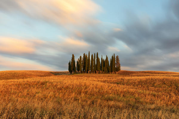 a long exposure to capture the sunset near the iconic Cypresses of San Quirico d'Orcia, Siena province, Tuscany district, Italy, Europe