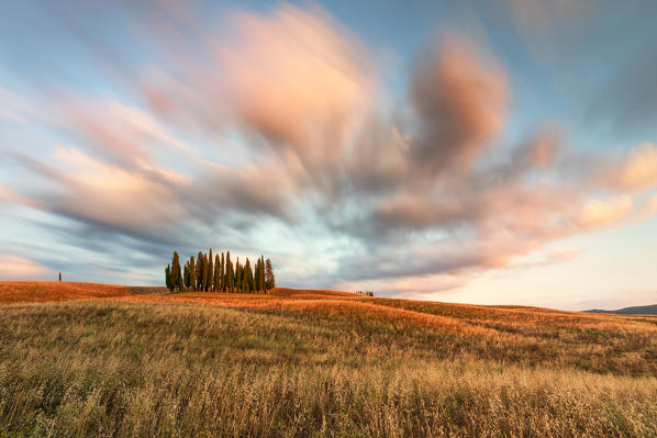 a long exposure to capture the sunset near the iconic Cypresses of San Quirico d'Orcia, Siena province, Tuscany district, Italy, Europe