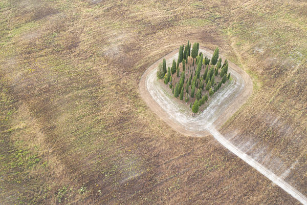 aerial view taken of the iconic cypresses of San Quirico during a summer sunset, Unesco World Heritage Site, municipality of San Quirico d'Orcia, Siena province, Tuscany district, Italy, Europe