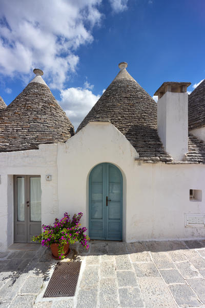 view of the Trulli, typical buildings of Alberobello (Unesco World Heritage Site) during a splendid summer day, municipality of Alberobello, Bari province, Apulia district, Italy, Europe