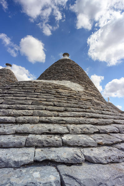 view of the Trulli, typical buildings of Alberobello (Unesco World Heritage Site) during a splendid summer day, municipality of Alberobello, Bari province, Apulia district, Italy, Europe