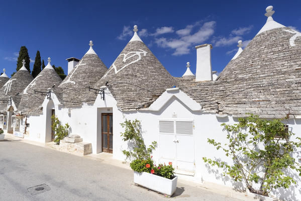view of the Trulli, typical buildings of Alberobello (Unesco World Heritage Site) during a splendid summer day, municipality of Alberobello, Bari province, Apulia district, Italy, Europe