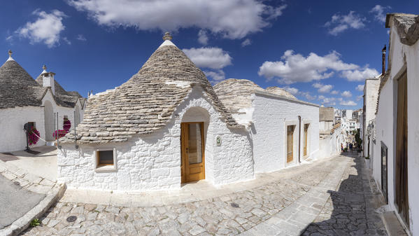 view of the Trulli, typical buildings of Alberobello (Unesco World Heritage Site) during a splendid summer day, municipality of Alberobello, Bari province, Apulia district, Italy, Europe