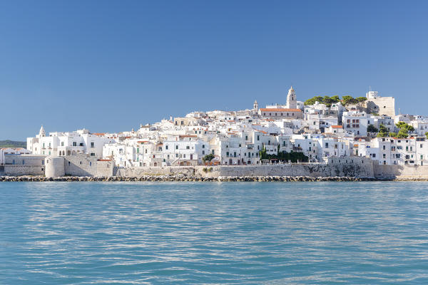 splendid view of the historic center of Vieste, taken during a summer boat trip, municipality of Vieste, Foggia province, Apulia district, Italy, Europe