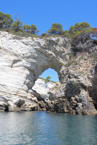 view of the Gargano coast, characterized by white cliffs, caves and a crystalline sea, taken during a summer day, municipality of Vieste, Foggia province, Apulia district, Italy, Europe