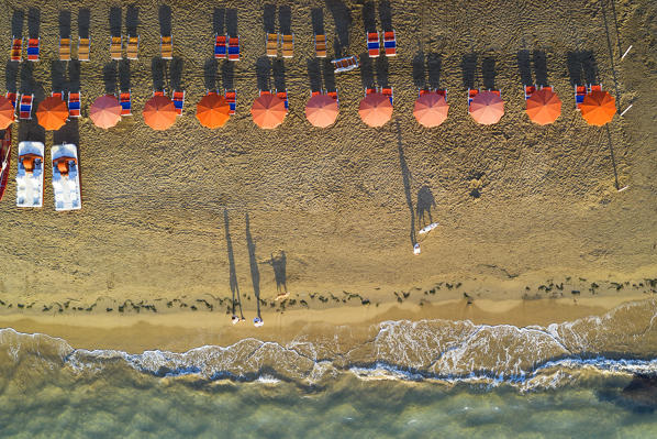 vertical aerial view of the equipped beach of Vieste, taken during a summer sunrise, municipality of Vieste, Foggia province, Apulia district, Italy, Europe