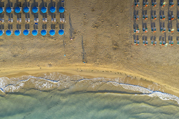 vertical aerial view of the equipped beach of Vieste, taken during a summer sunrise, municipality of Vieste, Foggia province, Apulia district, Italy, Europe