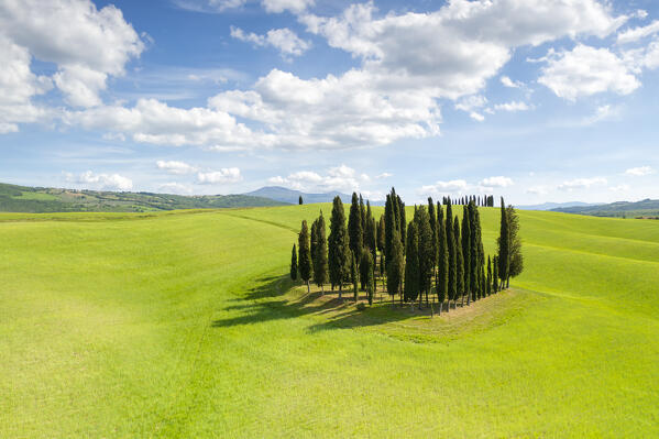 aerial view of the iconic Cypresses of San Quirico d'Orcia during a beautiful spring day, Siena province, Tuscany district, Italy, Europe