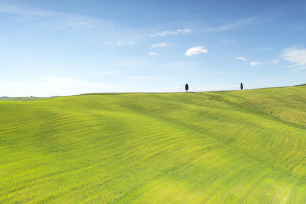 aerial view of the iconic Cypresses of San Quirico d'Orcia during a beautiful spring day, Siena province, Tuscany district, Italy, Europe