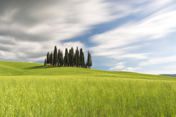 a long exposure to capture the landscape, during a cloudy spring afternoon near the iconic Cypresses of San Quirico d'Orcia, Siena province, Tuscany district, Italy, Europe