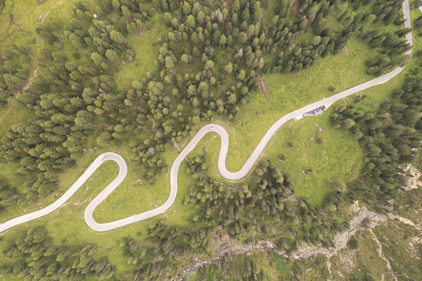 the curves of the Giau pass surrounded by a splendid wood, Dolomiti, Unesco World Heritage Site, Belluno province, Veneto district, Italy, Europe