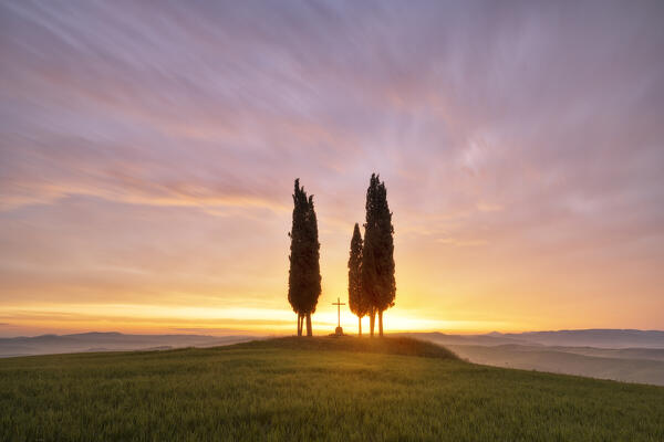 a warm light envelope the cypress near San Quirico d'Orcia during a spring sunrise, San Quirico d'Orcia, Siena Province, Tuscany, Italy, Europe