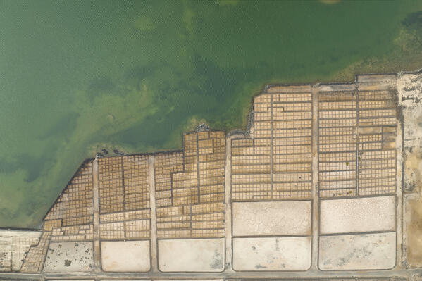 aerial view taken by drone of a Saline de Janubio, Lanzarote, Canary Island, Spain, Europe