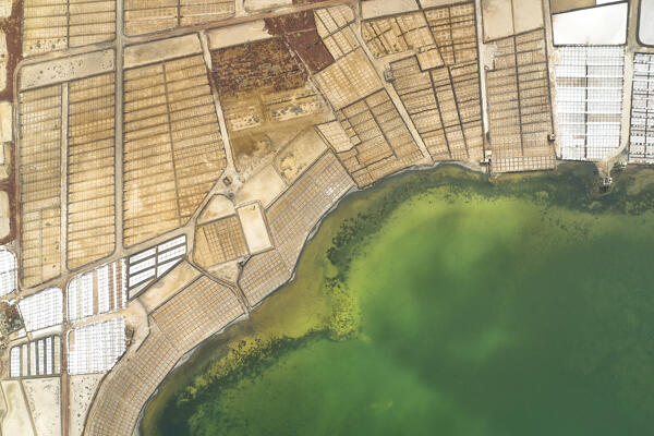 aerial view taken by drone of a Saline de Janubio, Lanzarote, Canary Island, Spain, Europe