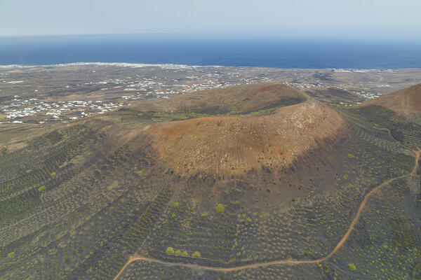 aerial view taken by drone of a typical circular vineyard over the volcano, La Geria, Lanzarote, Canary Island, Spain, Europe