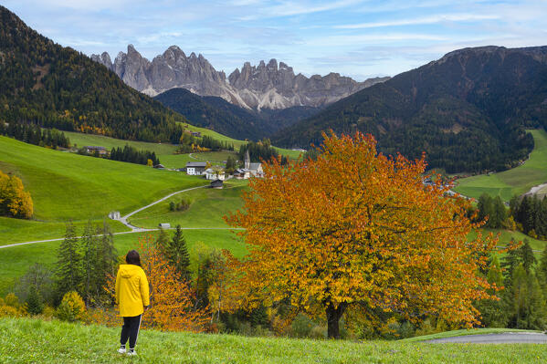 one girl enjoy the beautiful view of Odle mountain during an autumn day, Funes valley, Bolzano province, Trentino Alto Adige, Dolomiti, Italy, Europe