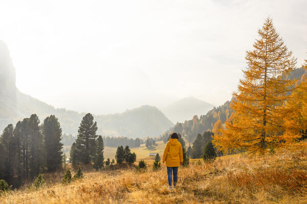 one girl enjoy the beautiful view at Gardena pass during an autumn sunset, Gardena Pass, Gardena valley, Bolzano province, Trentino Alto Adige, Dolomiti, Italy, Europe