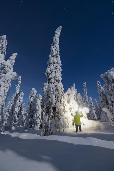 one hiker admire the trees covered with snow in the night, Riisitunturi National Park, Posio, Lapland, Finland