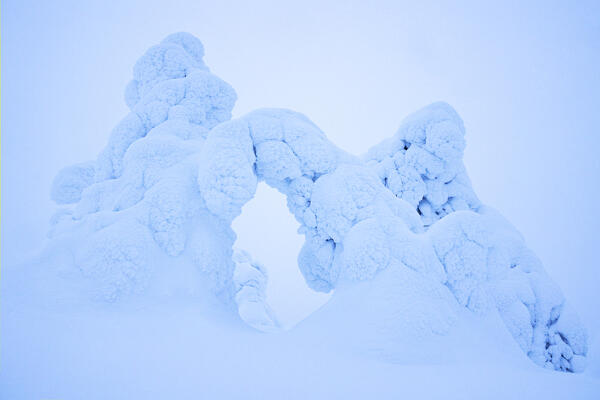 Trees covered with a snow over the hill near to Ruka, Lapland, Finland, Europe