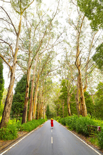 A girl enjoys the beautiful view on eucalypto forest during a spring day, Porto Moniz, Madeira, Portugal, Europe