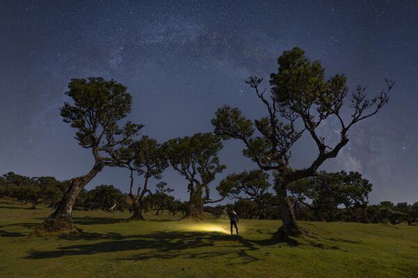 a man admires the Fanal Forest under the arc of the milky way during a spring night, Porto Moniz, Madeira, Portugal, Europe