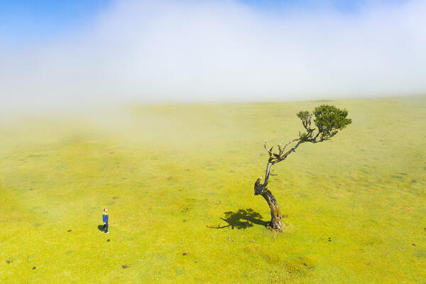 A man enjoys the beautiful view at Fanal Forest during a foggy spring day, Porto Moniz, Madeira, Portugal, Europe