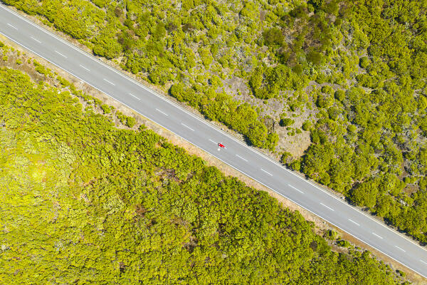 A girl enjoys the beautiful sunny day along the mountain road near to Fanal Forest , Porto Moniz, Madeira, Portugal, Europe