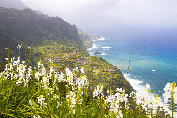 a panoramic shot of the Madeira northern coast during a sunny spring day, with a flowery in foreground, Portugal, Europe