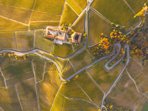 aerial view taken from the drone of the Langhe vineyards during a beautiful autumn day, Unesco World Heritage Site, Cuneo province, Liguria, Italy, Europe