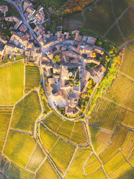 aerial view taken from the drone of the Langhe vineyards and Castiglione Falletto village, during a beautiful autumn day, Unesco World Heritage Site, Cuneo province, Liguria, Italy, Europe