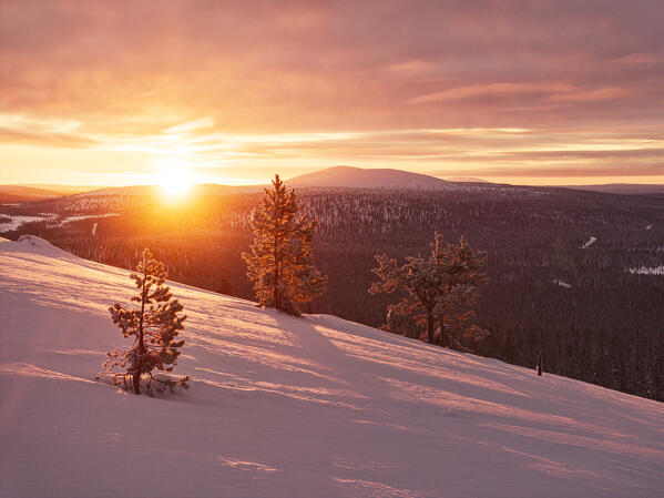an amazing winter sunrise in Pallastunturi National Park shooted by drone, Pallastunturi, Finland, Europe