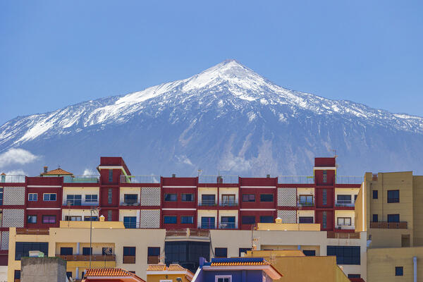 A coloful houses of Icod de Los Vinos with in background the majestic Teide Volcano, during a spring day, Tenerife, Canary Island, Spain, Europe