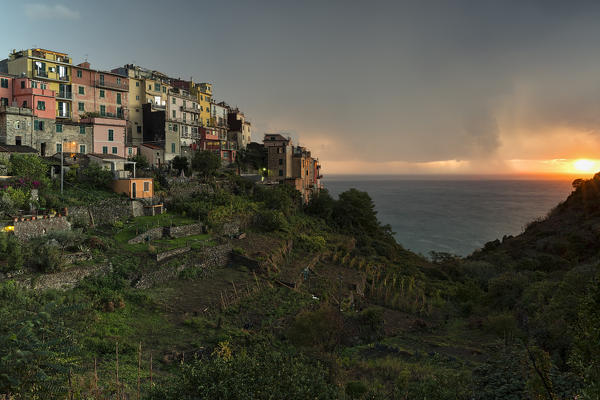 sunset on Corniglia, Cinque Terre, municipality of Vernazza, La Spezia provence, Liguria, Italy, Europe