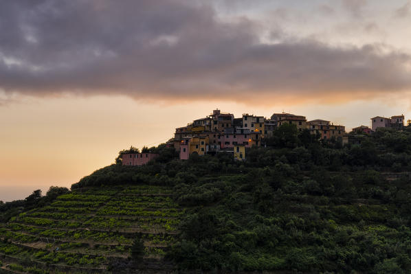 Spring sunset at Volastra, Cinque Terre, municipality of Riomaggiore, La Spezia province, Liguria, Italy, Europe
