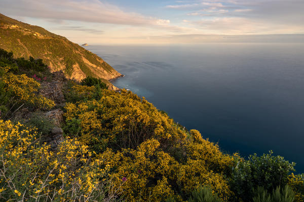 spring sunset on Riomaggiore coast, National Park 5 Terre, municipality of Riomaggiore, La Spezia province, Liguria district, Italy, Europe