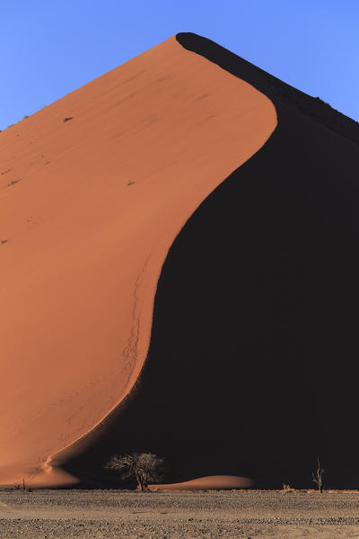 Dune in Sossusvlei area, Namib Naukluft National Park, Namibia
