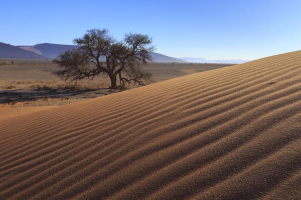 Sand waves in Sossusvlei area, Namib Naukluft National Park, Namibia