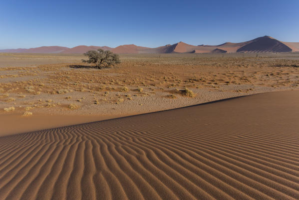 Sand waves in Sossusvlei area, Namib Naukluft National Park, Namibia