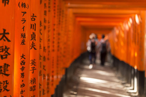Fushimi Inari shrine, Torii, kyoto, Japan, Asia