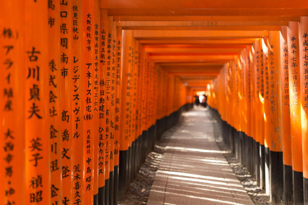 Fushimi Inari shrine, Torii, kyoto, Japan, Asia