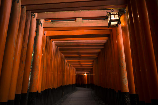 Fushimi Inari shrine, Torii, kyoto, Japan, Asia