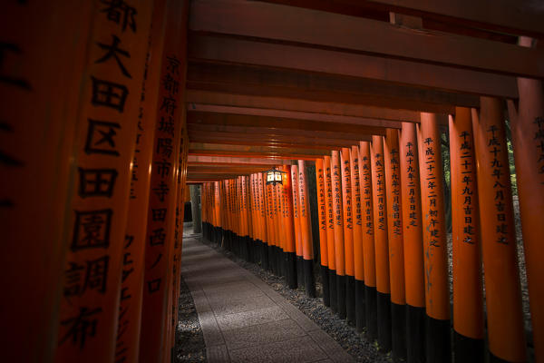 Fushimi Inari shrine, Torii, kyoto, Japan, Asia