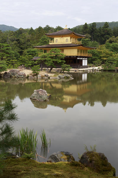 Kinkaku-ji shrine, golden temple, Kyoto, Japan, Asia